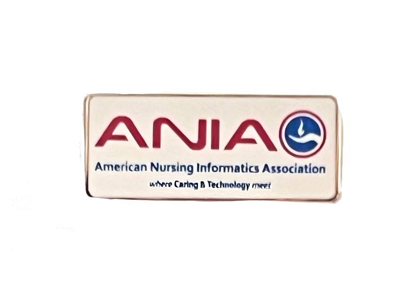 ANIA Pin - Rectangle (includes shipping)